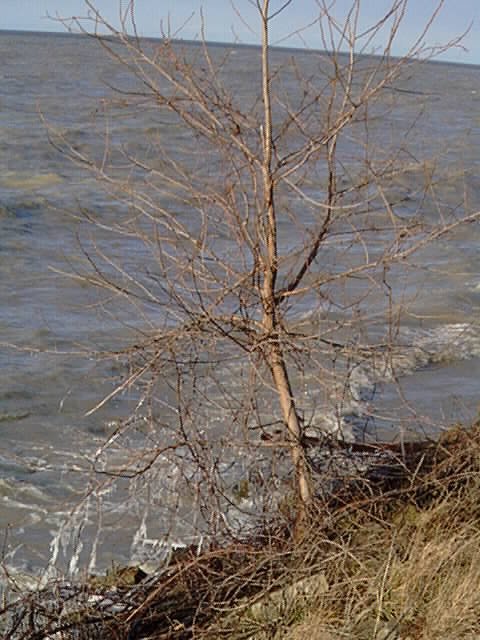 Lake Erie